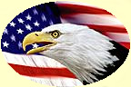 Eagle & US Flag